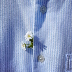 Shirt Fooji (demo)